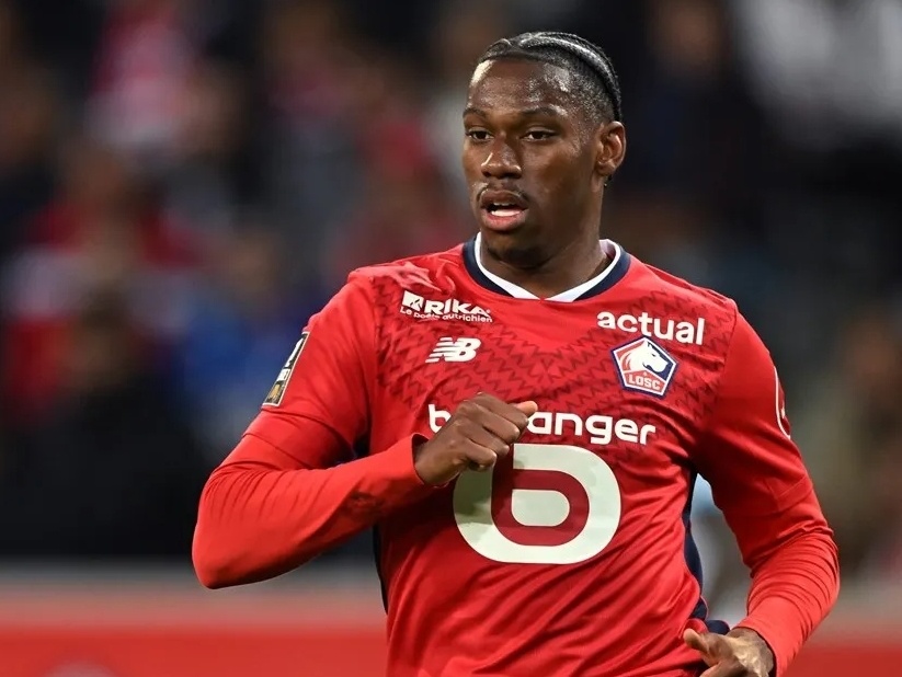 未来展望 未来展望